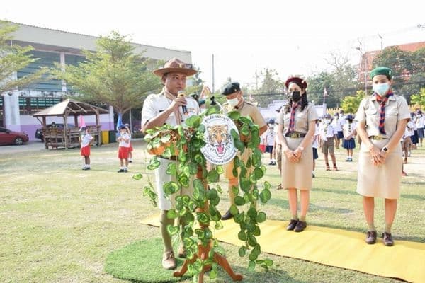 67409_g217415.jpg
