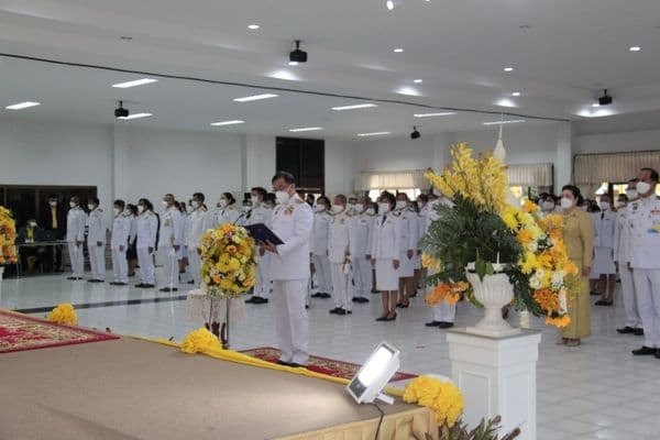 72281_g231229.jpg