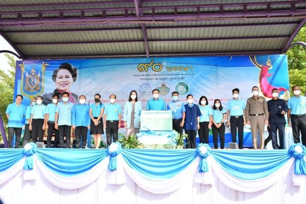 83149_g259710.jpg