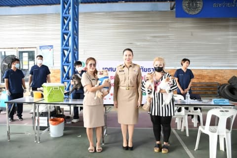 บริการฉีดวัคซีนป้องกันโรคพิษสุนัขบ้าในสุนัขและแมว