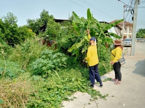 ช้อีเอ็มบอล เพื่อบำบัดและป้องกันน้ำเสียในคลองเพนียดน้อยและคลองต่างๆ